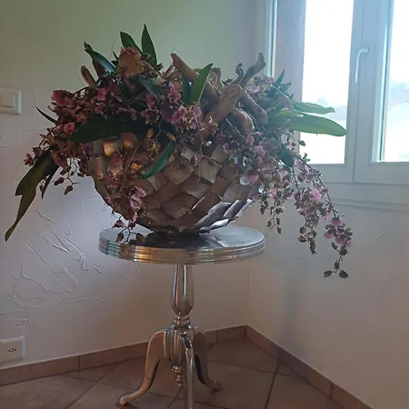 Lilalila Bed & Breakfast