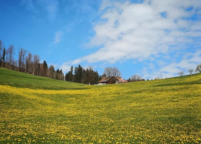 Lilalila Nocleg ze śniadaniem