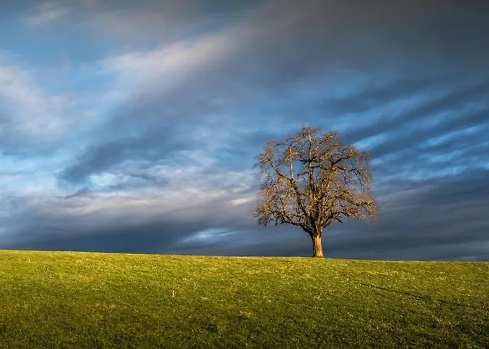 Nocleg ze śniadaniem Lilalila *
