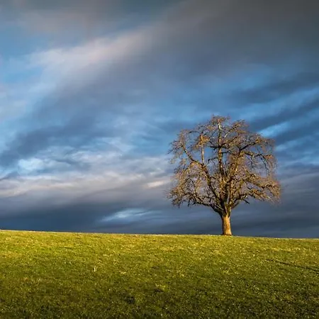 לינה וארוחת בוקר Lilalila *